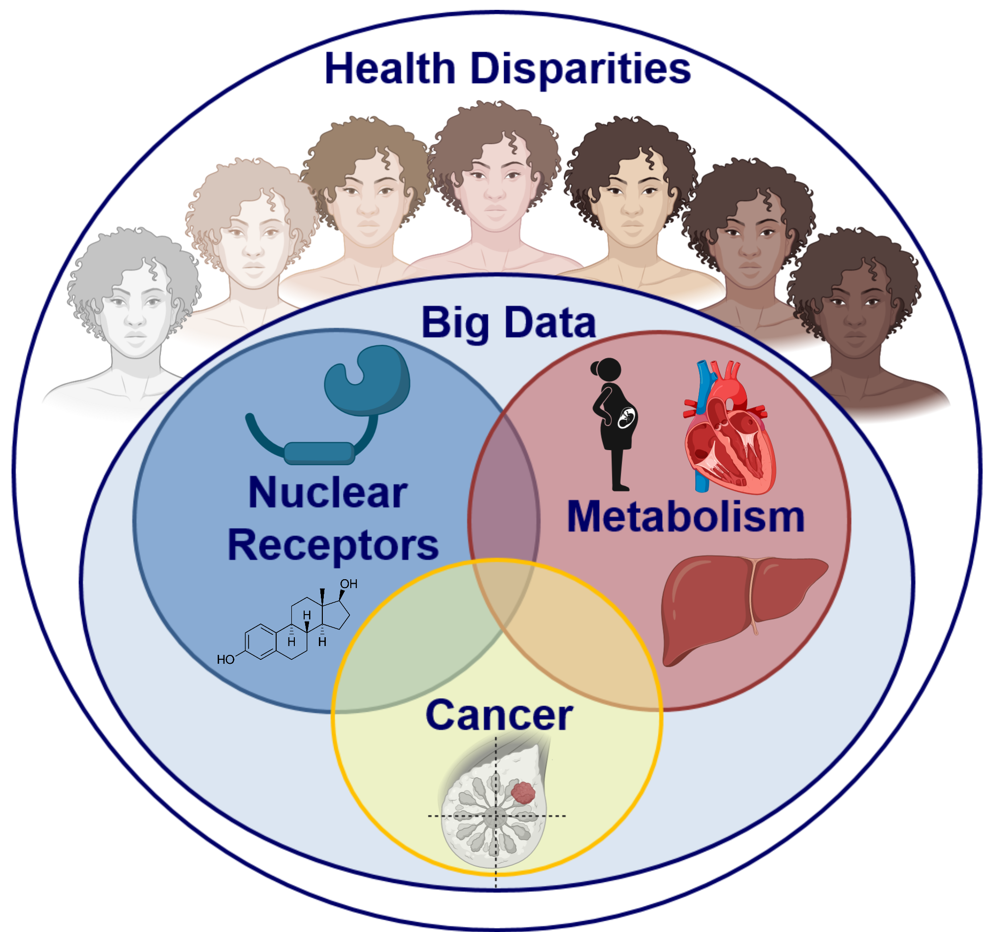 Women&#39;s Health and Metabolism Lab | Striving to improve lives of women and breast cancer survivors using cutting edge science guided by patient perspective - University of Illinois at Urbana-Champaign
